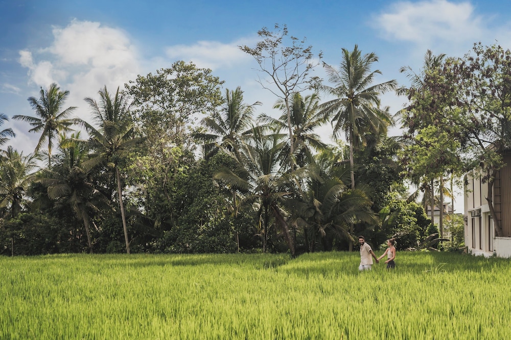 Suara Alam Hotel Ubud by Ini Vie Hospitality 43/50