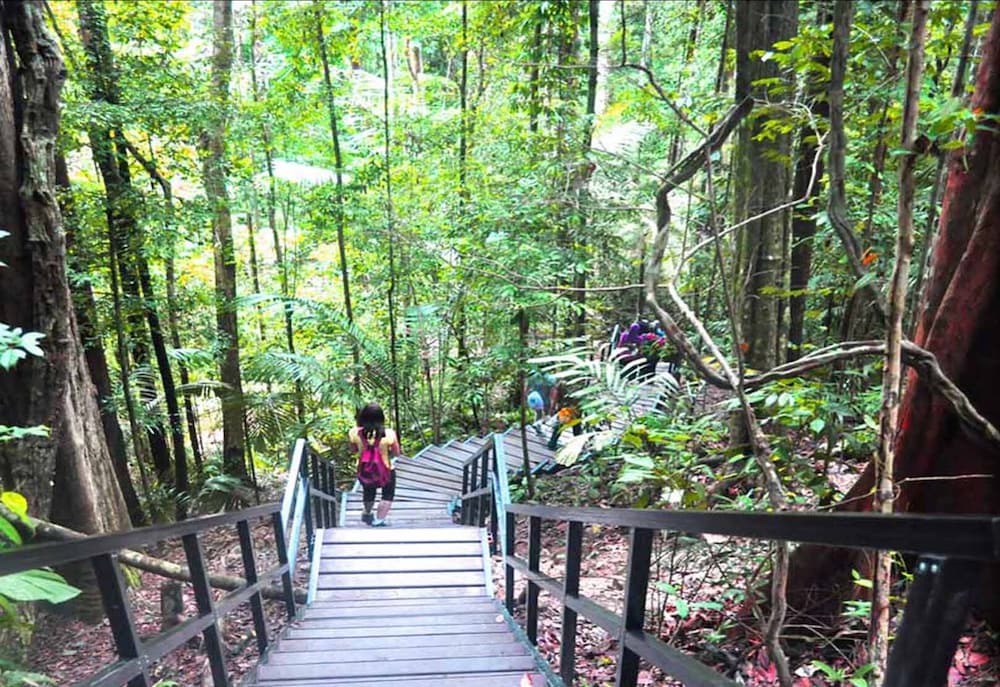 Xcape Resort at Taman Negara 1/28