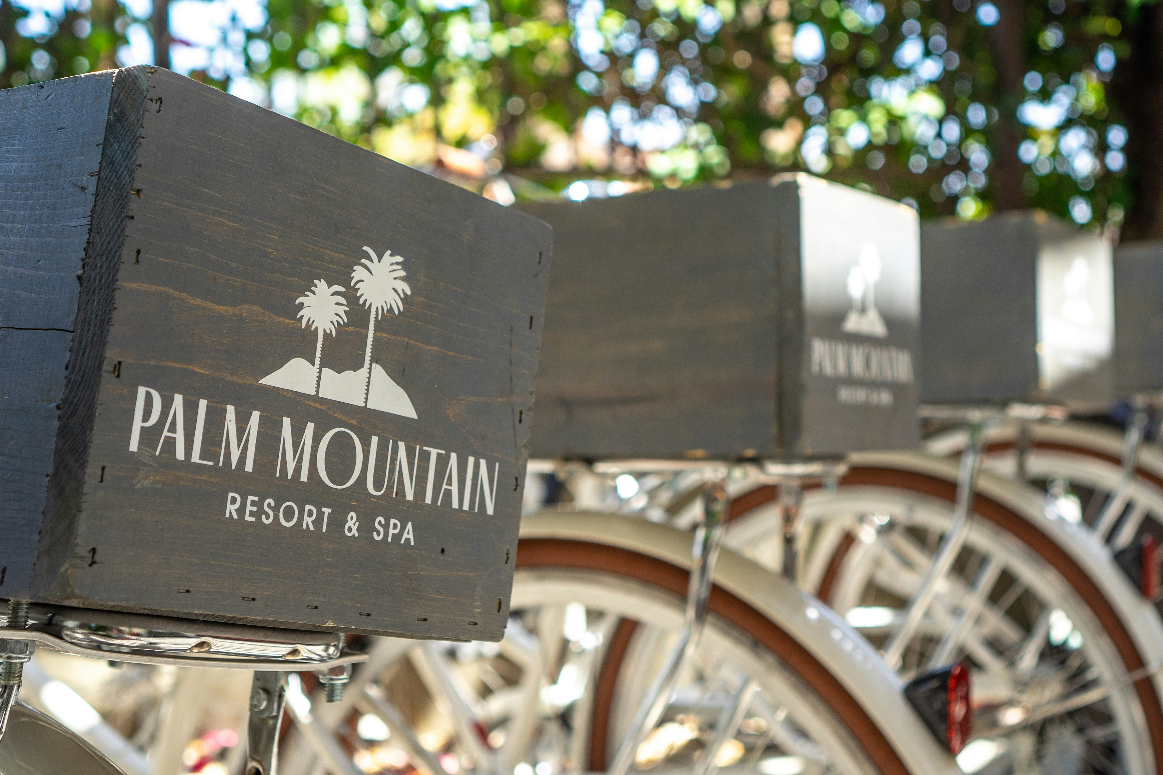Palm Mountain Resort & Spa 8/47