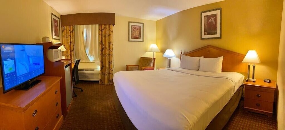 1 Bedroom, King Bed