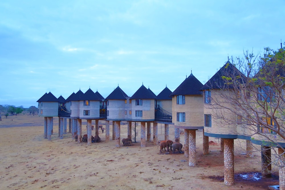 Salt Lick Safari Lodge 48/55