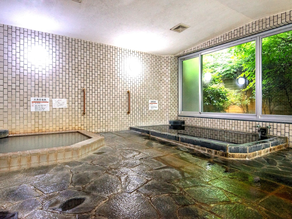 Tkp Lectore Hakone Gora 30/50