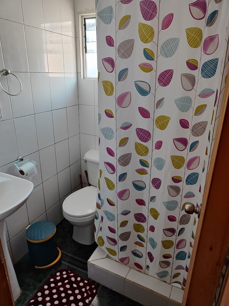 Alma Patagona Hostel Coyhaique 18/19