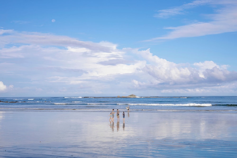 The Coast Beachfront Hotel 41/50
