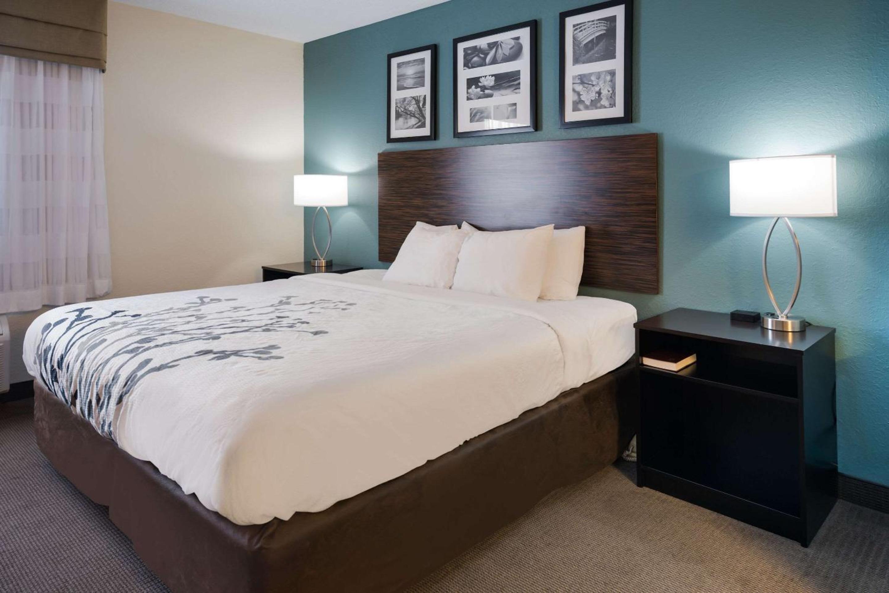 Suite, King Bed, Sofa