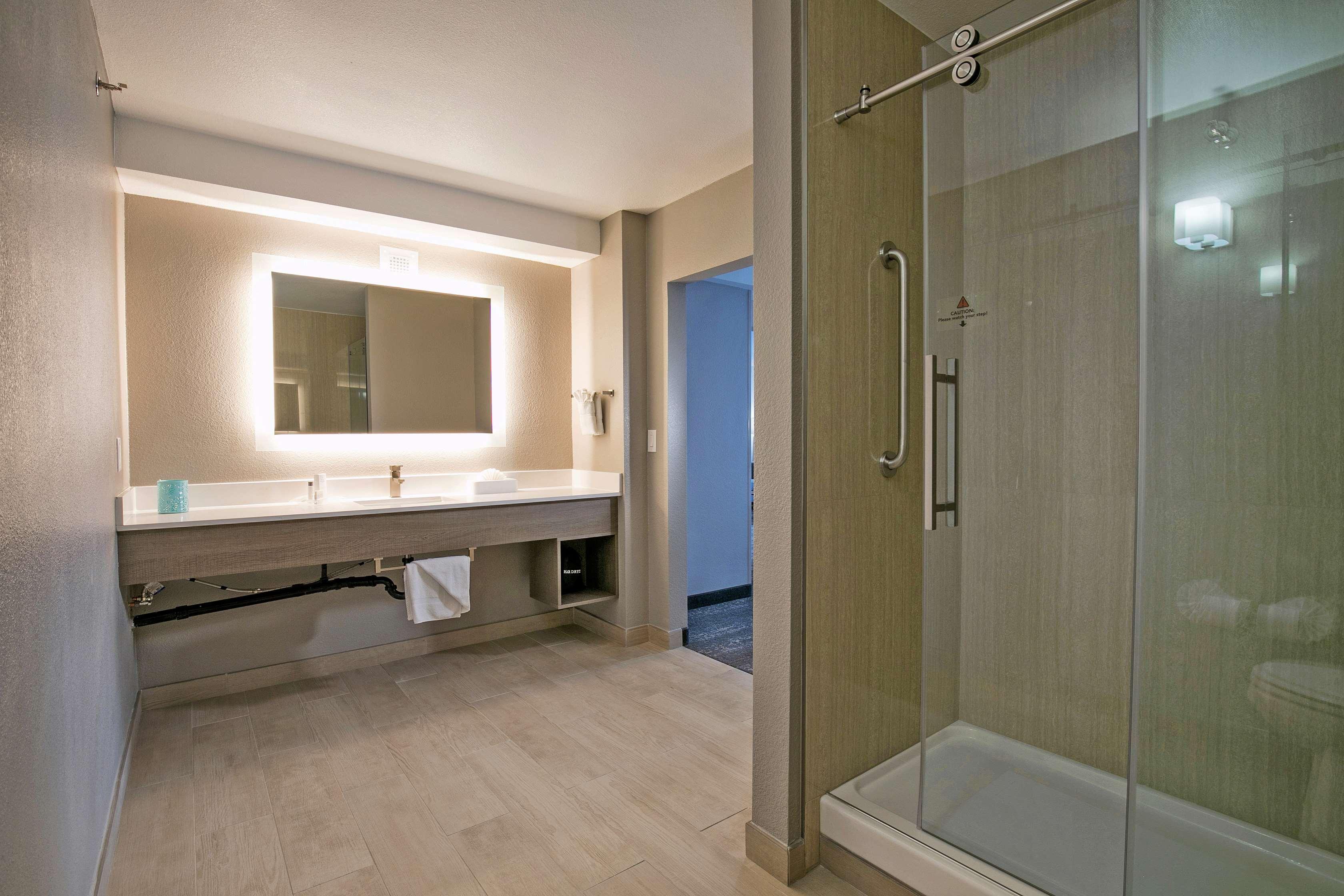 Suite, King Bed