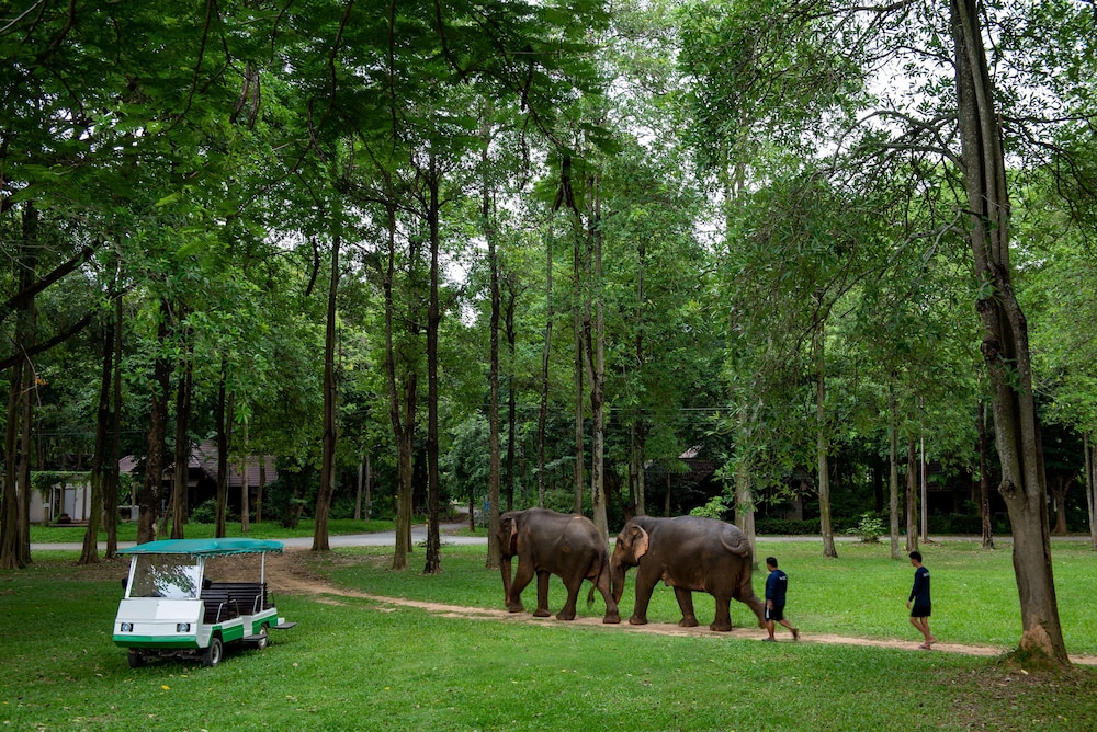 The Legacy River Kwai Resort 45/50