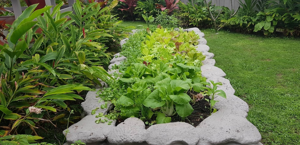 Cook Islands Holiday Villas Turangi 16/19