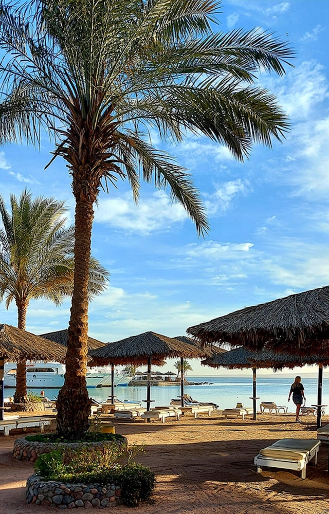 Regina Resort and Aqua Park Hurghada 79/84