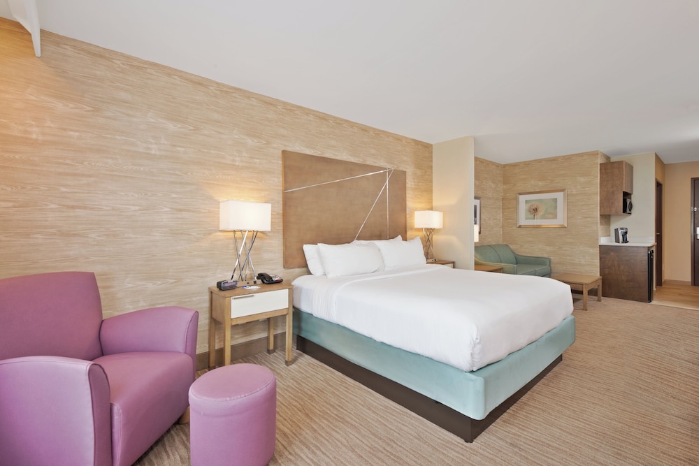 جناح بسرير كينج، Holiday Inn Express & Suites Harrisburg S - New Cumberland 2/5