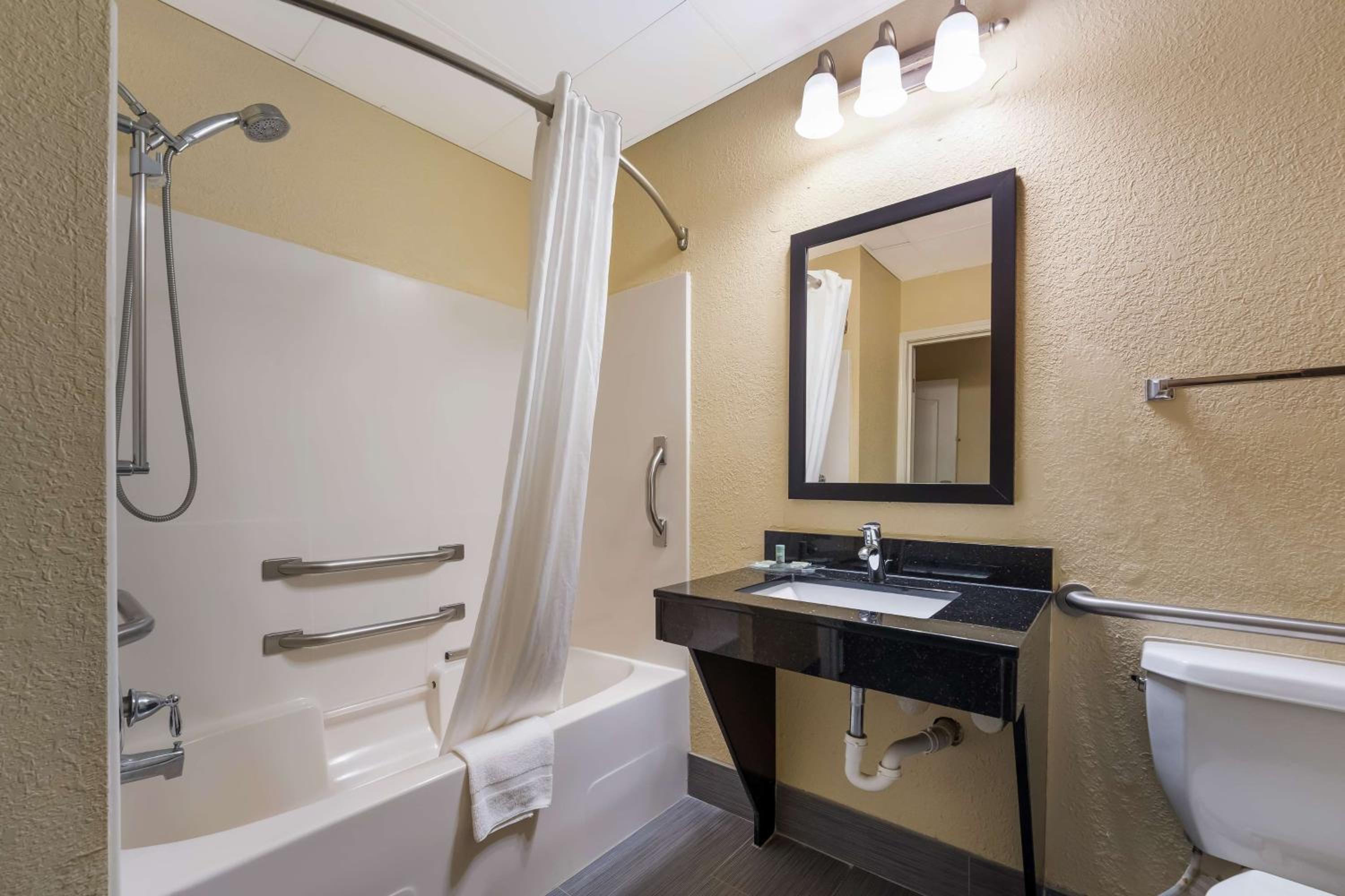 Mini, Suite, King Bed, Sofa, Accessible