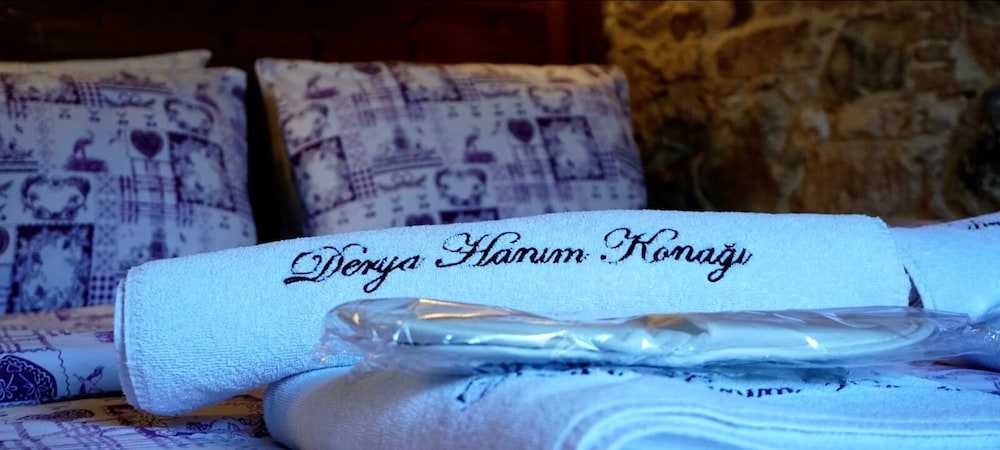 Derya Hanim Konagi 9/19