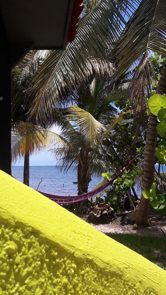 Margarita del Sol Costa Maya 26/43