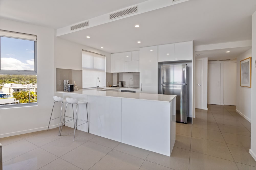 Verve On Cotton Tree 8/50