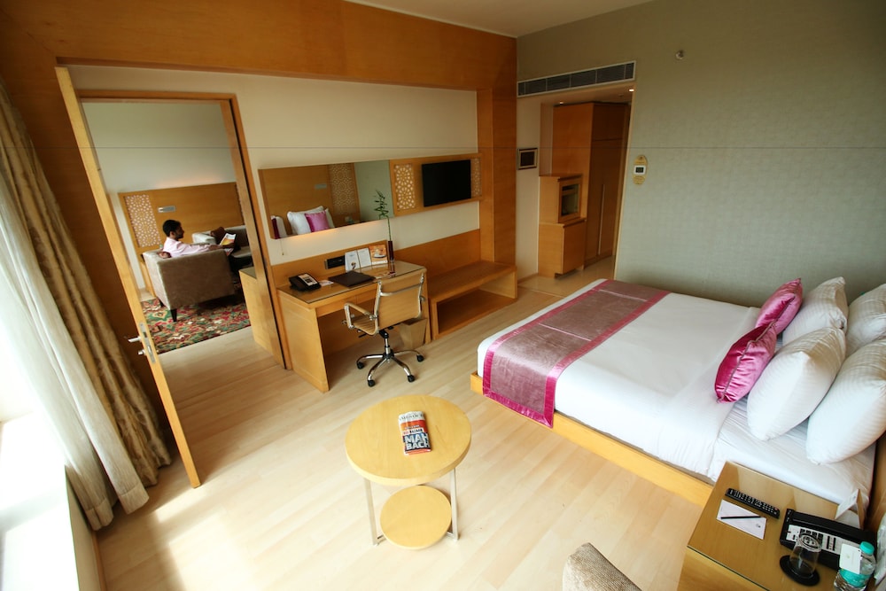 Hotel Sayaji Raipur 22/73