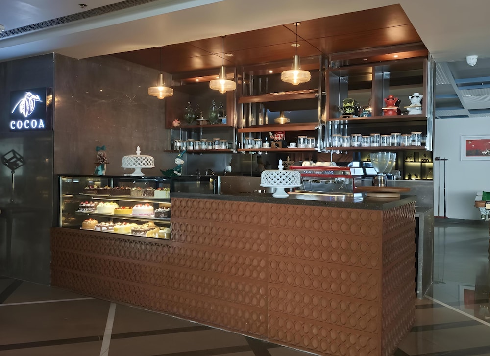 Radisson Hotel Kufri 31/50
