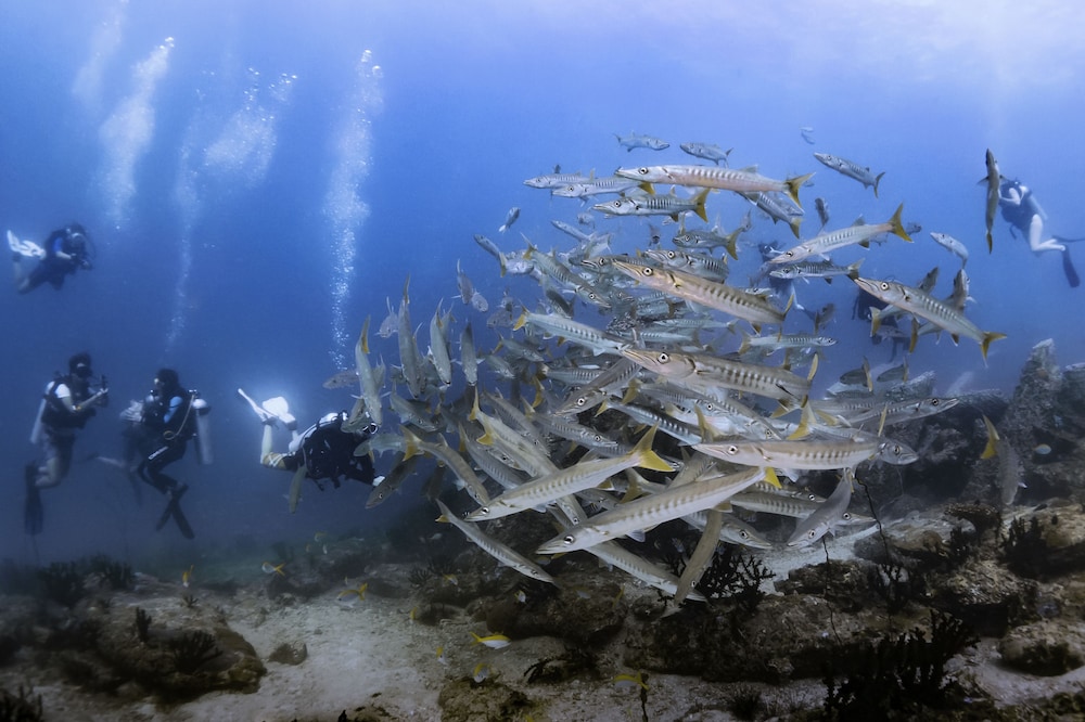 Forra Diving Resort Pattaya Beach Koh Lipe 25/37