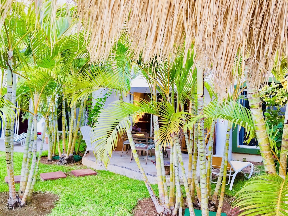DOLCE VITA CARIBE B&B 38/51