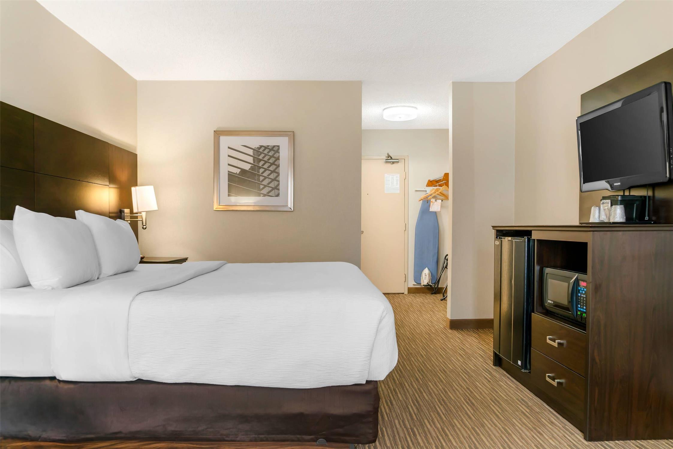 Room, King Bed