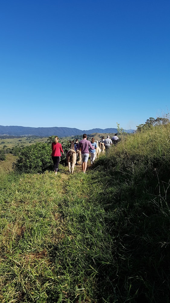 Dayboro Cottages & Llama Walks 26/35