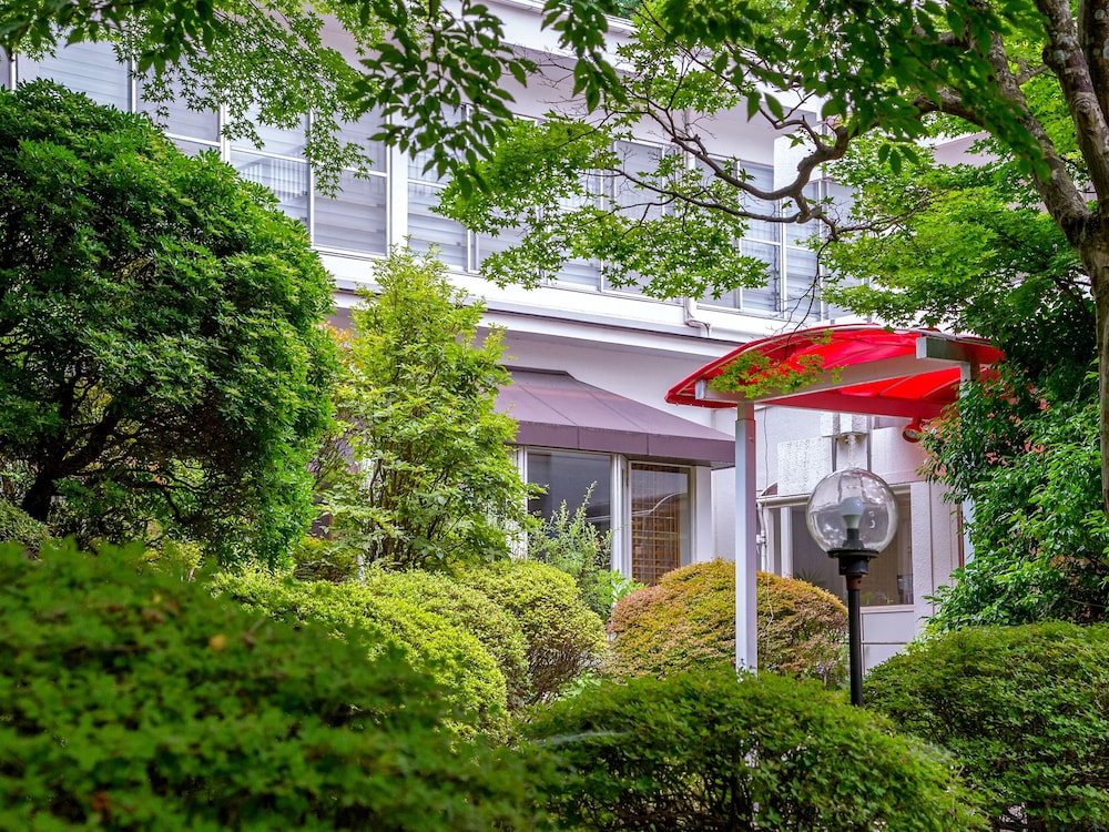 Tkp Lectore Hakone Gora 45/50