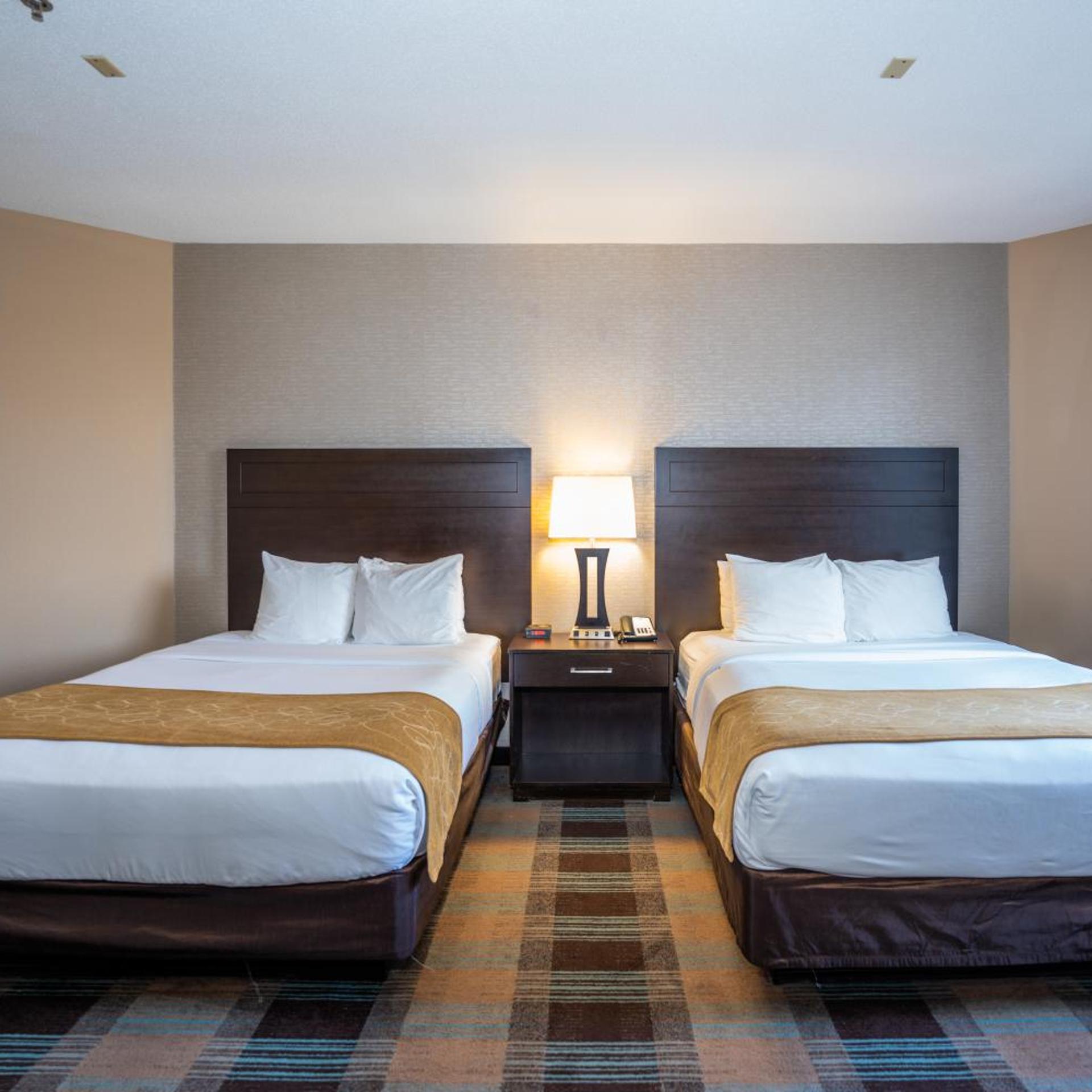 جناح بسرير كوين، Comfort Suites Houston West At Clay Road 3/10