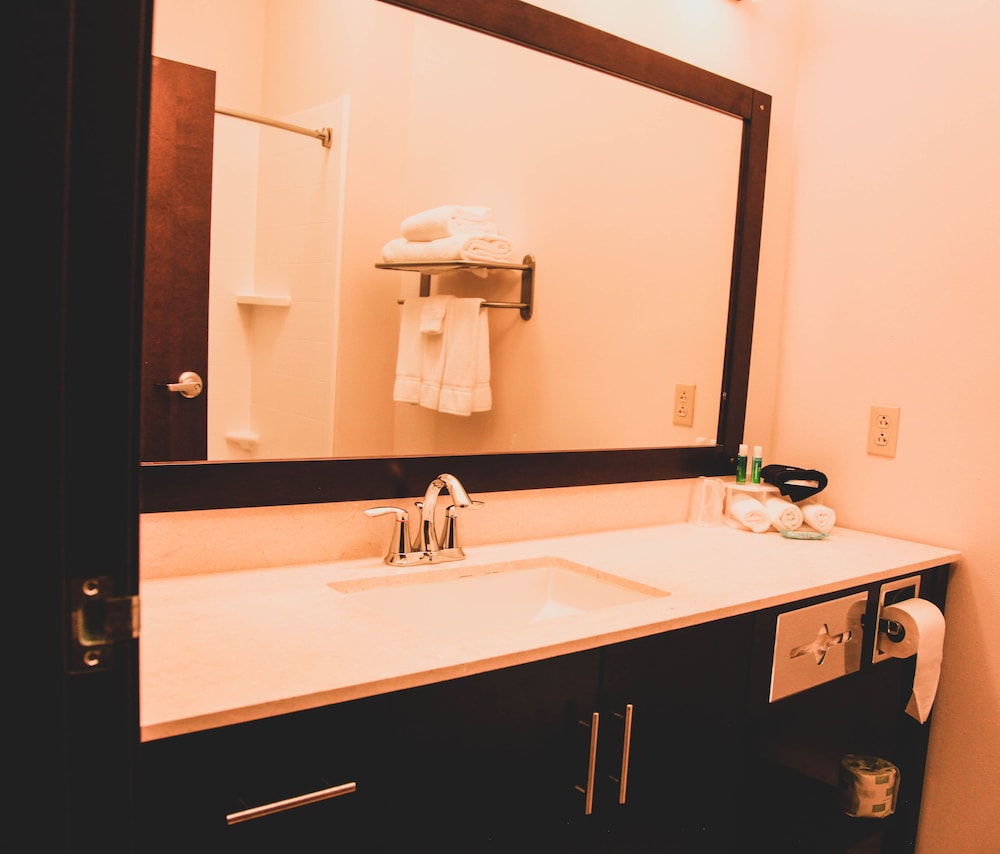 Holiday Inn Express Suites La Vale Cumberland 21/59