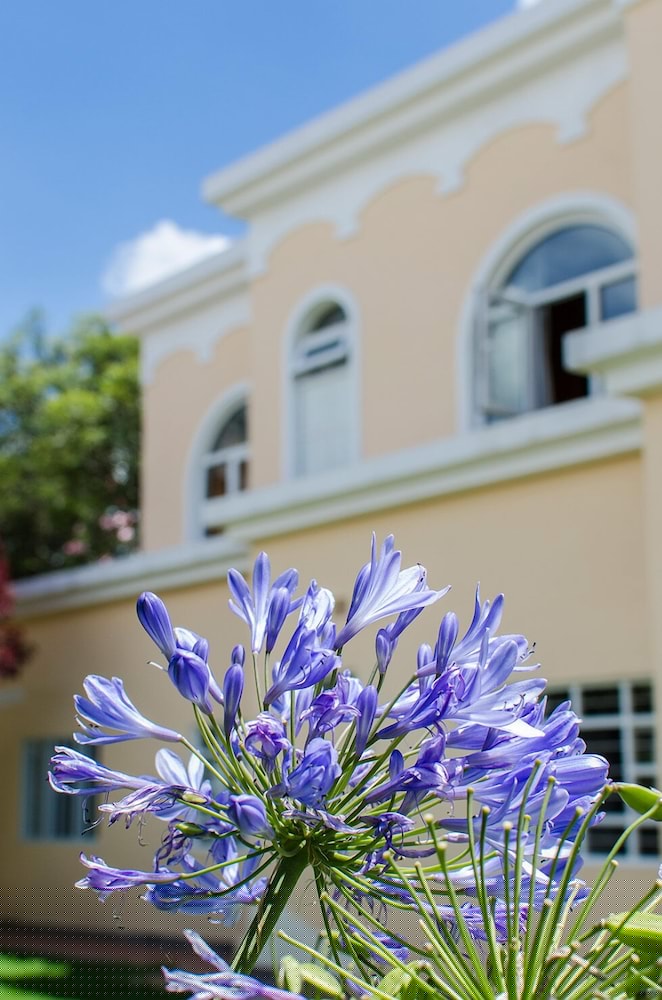 Hotel La Casona 29/54