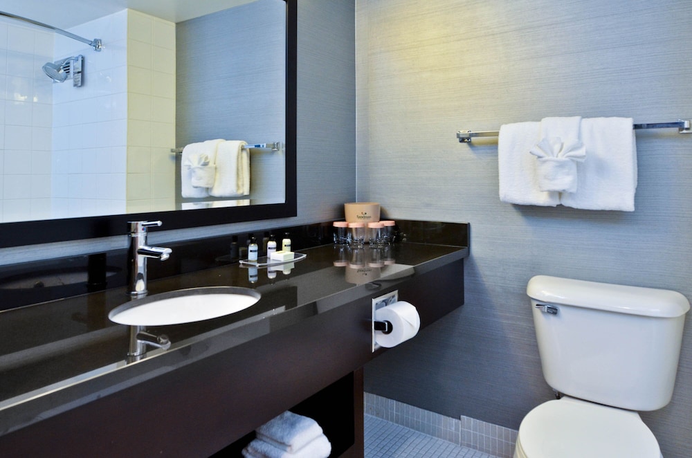 Sandman Hotel Lethbridge 14/46