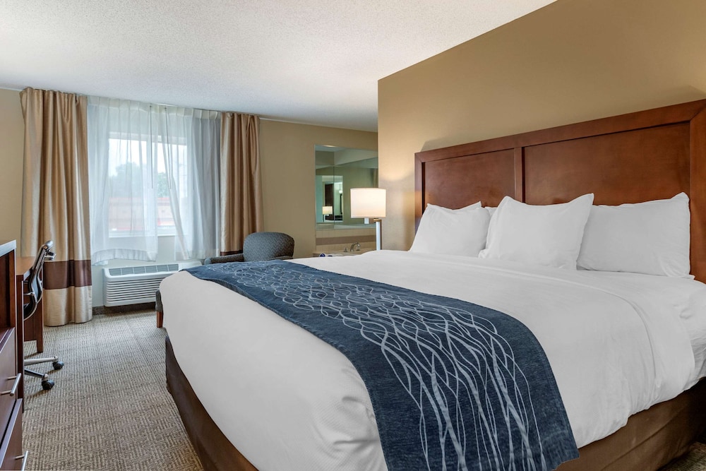 Comfort Inn Suites Dimondale Lansing 15/35