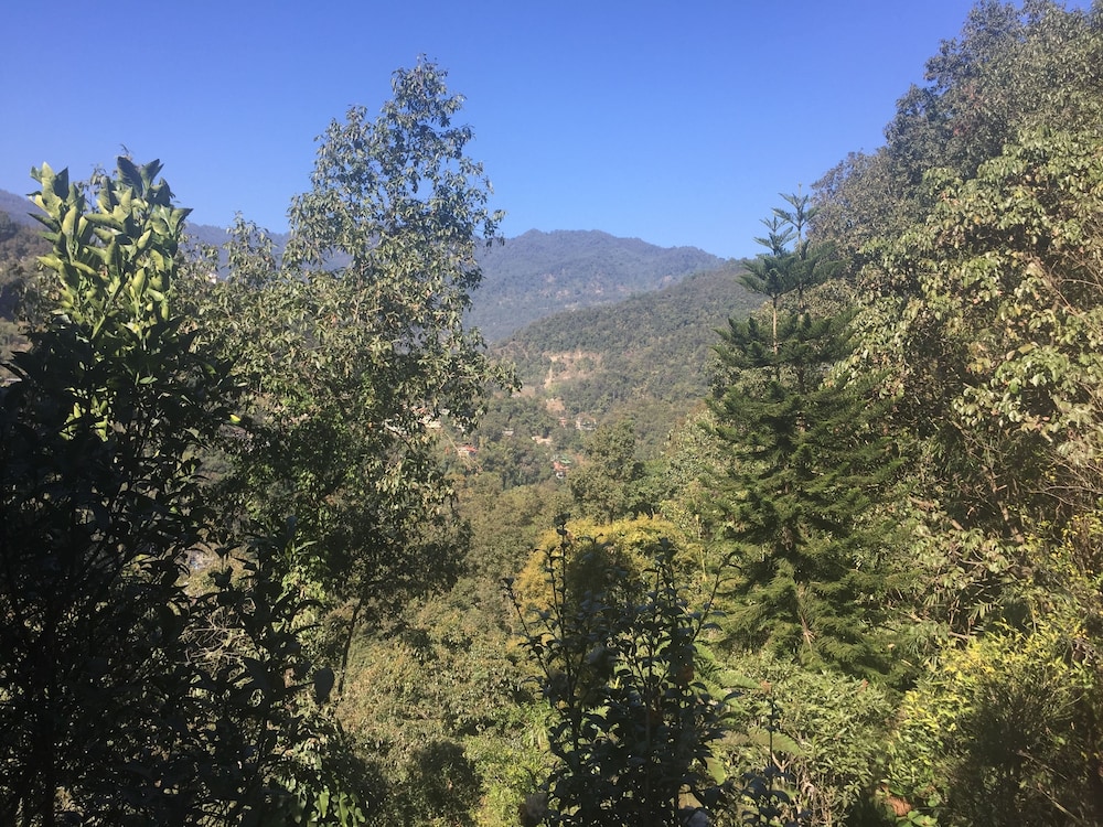 Sterling Gangtok - Orange Village 117/125