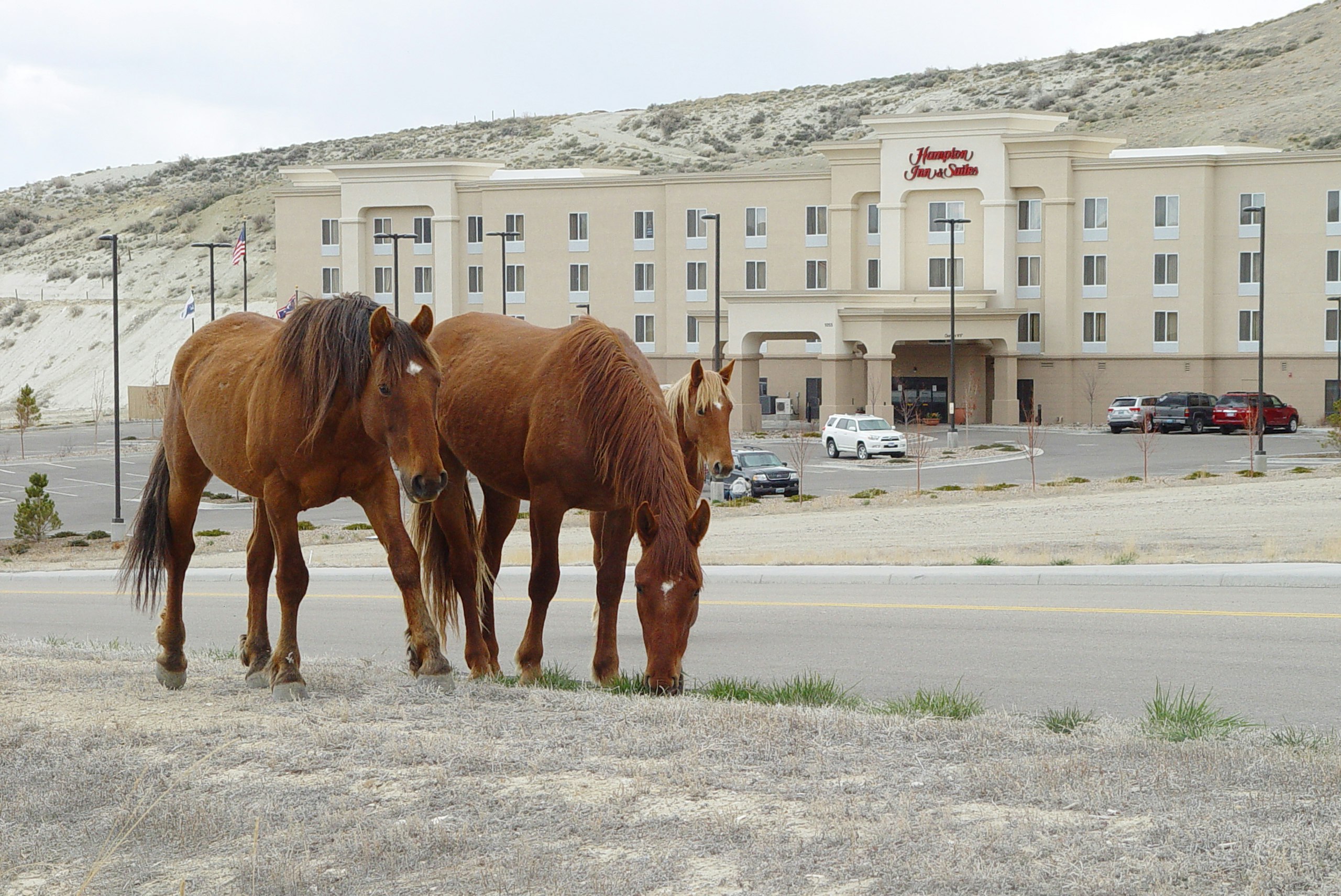 Hampton Inn & Suites Green River 33/34