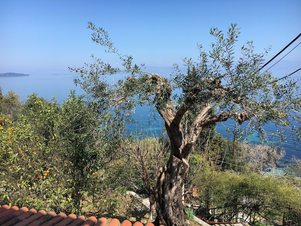 Casa Dei Venti 42/50