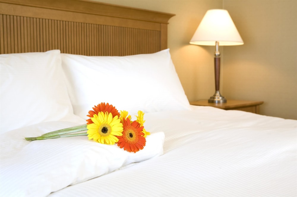 Coast Capri Hotel 26/61