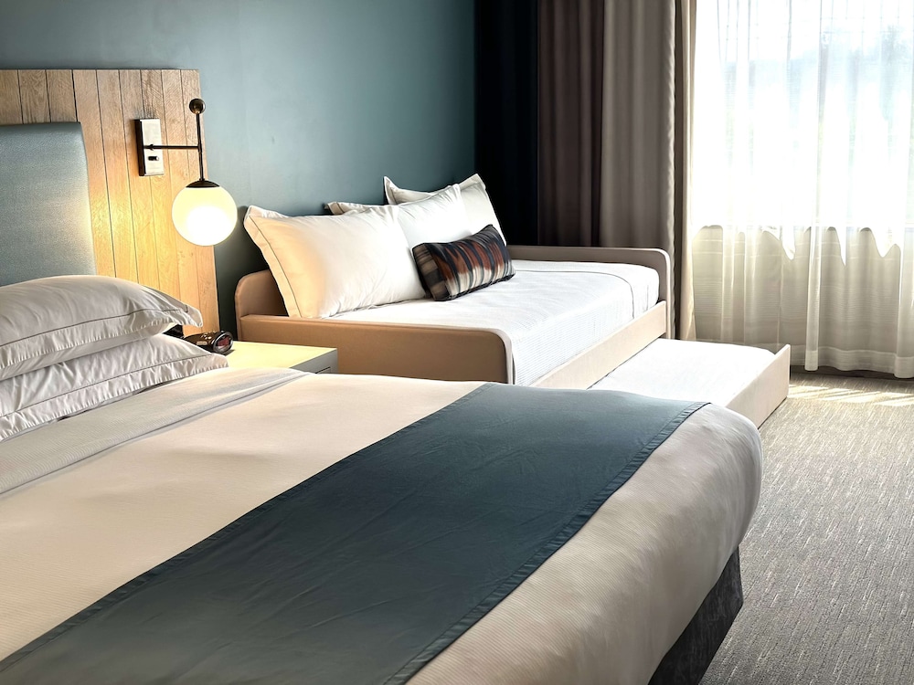 FAMILY, STUDIO, SUITE, KING BED, TRUNDLE BED, SOFA