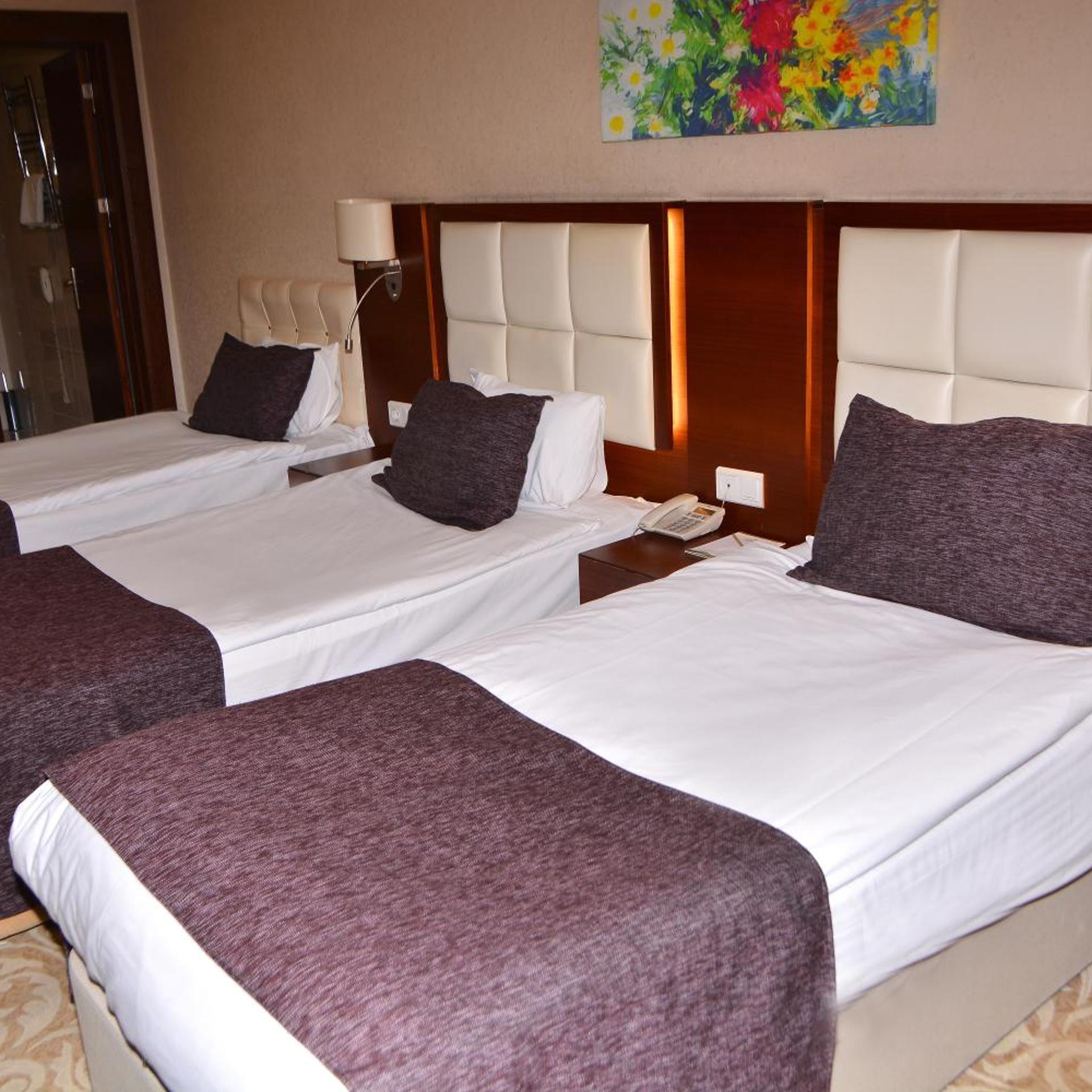 غرفة ثلاثية، ASRIN BUSINESS HOTEL 5/10