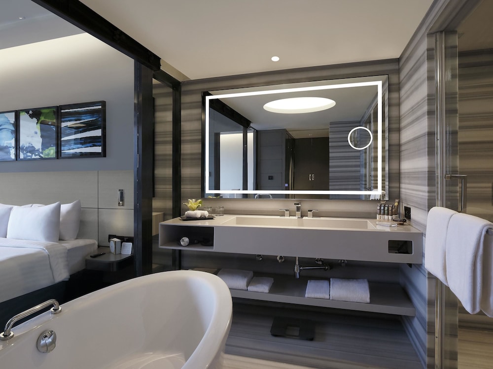 Novotel Chennai Chamiers Road 26/73