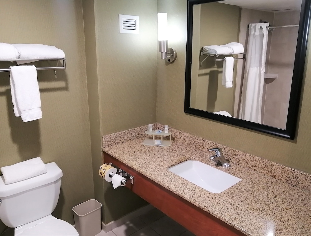 Holiday Inn Express Hotel and Suites Toluca Zona Aeropuerto 33/72