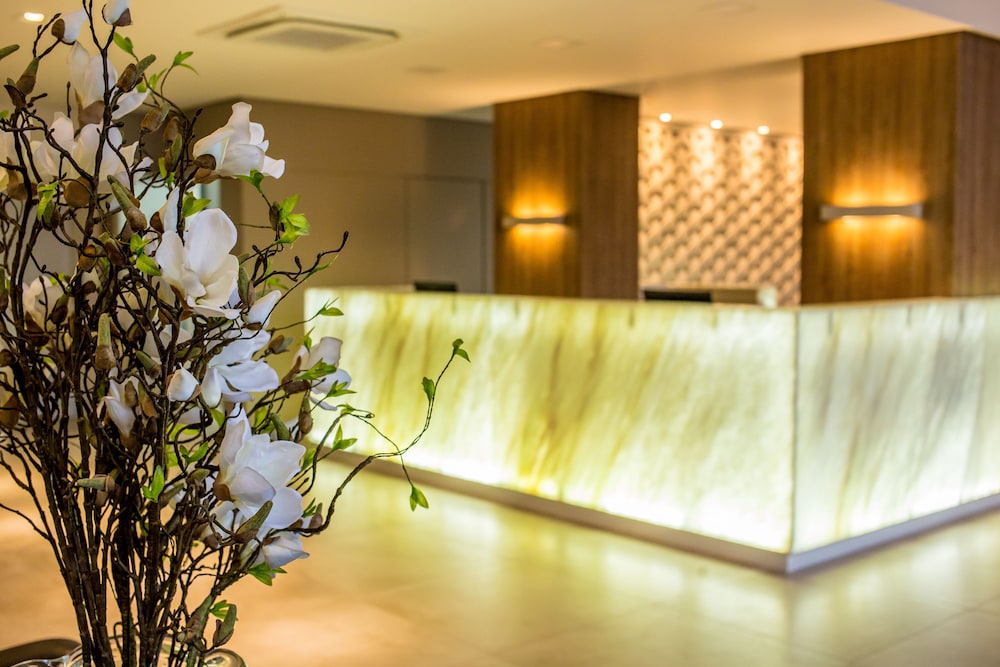 Tri Hotel Premium Criciuma 13/60
