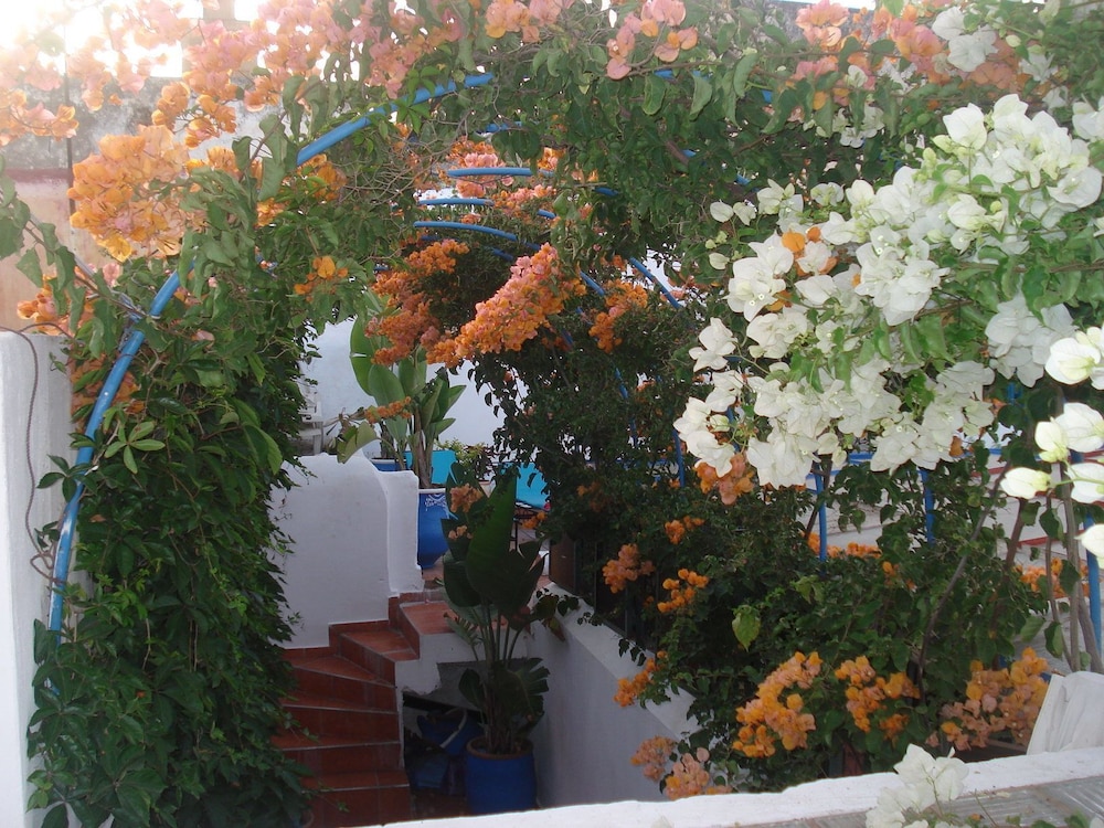 Riad Marlinea 4/50