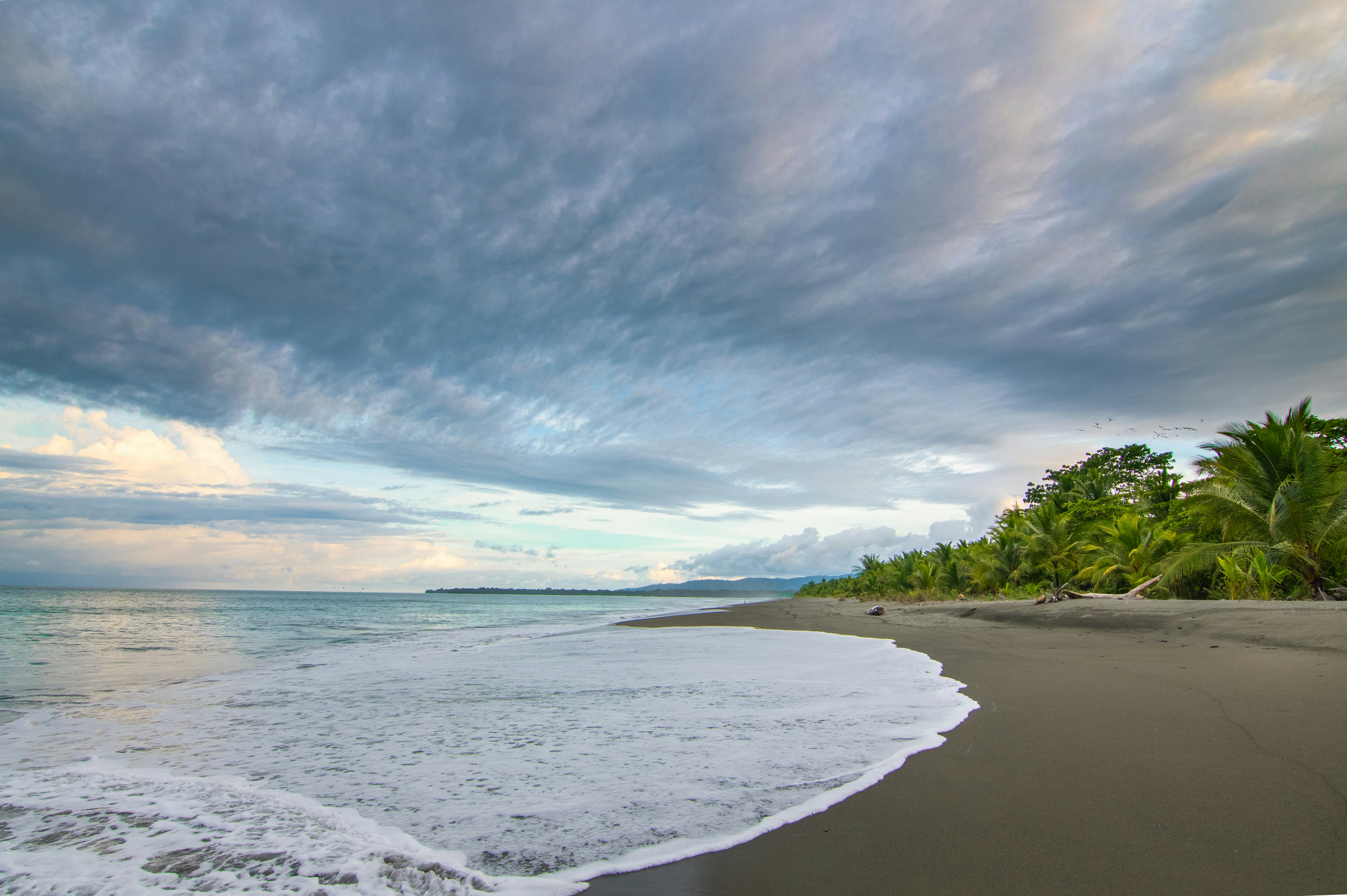 Botanika Osa Peninsula, Curio Collection by Hilton 68/73