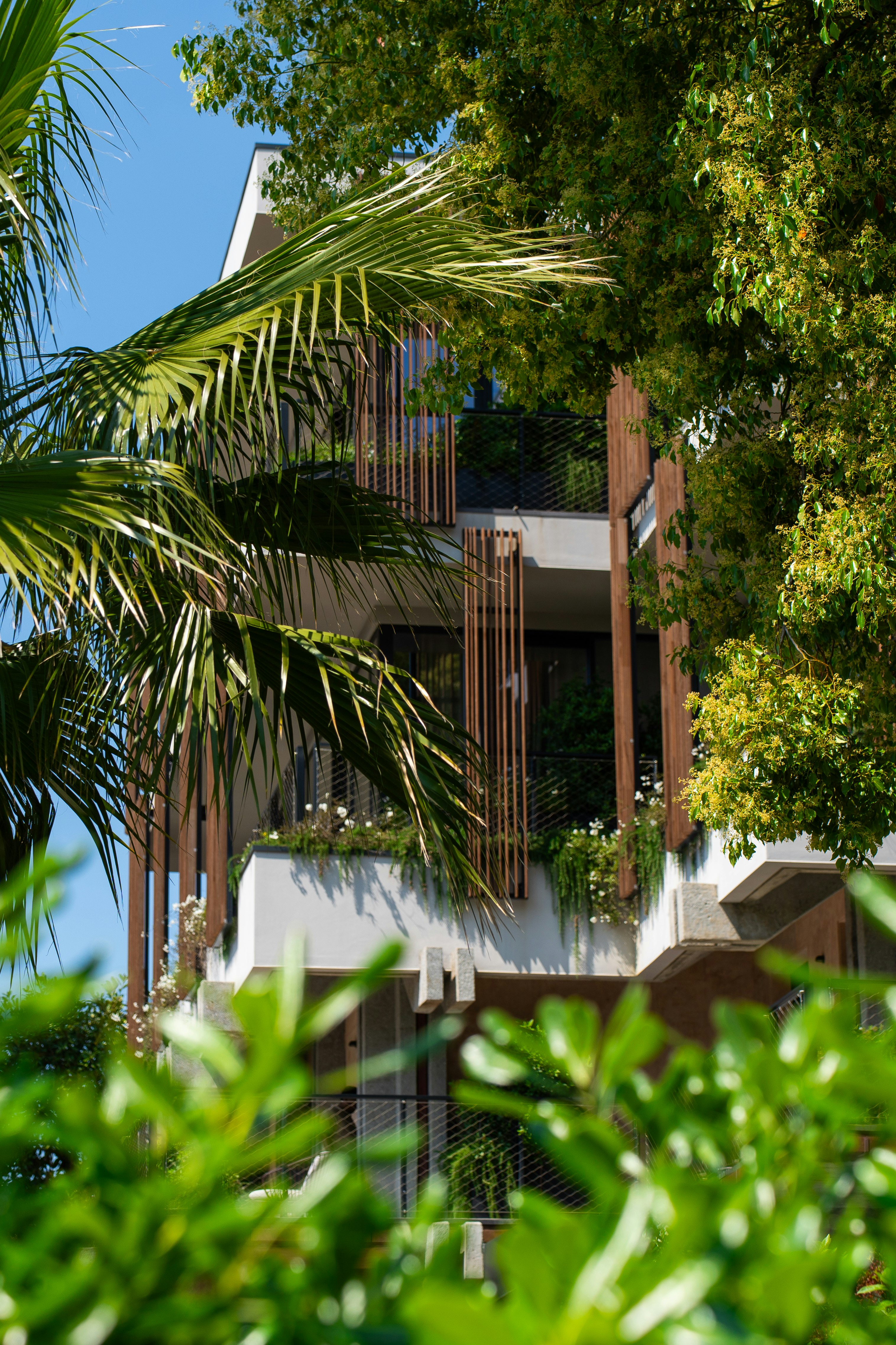 Capitolo Riviera 46/50