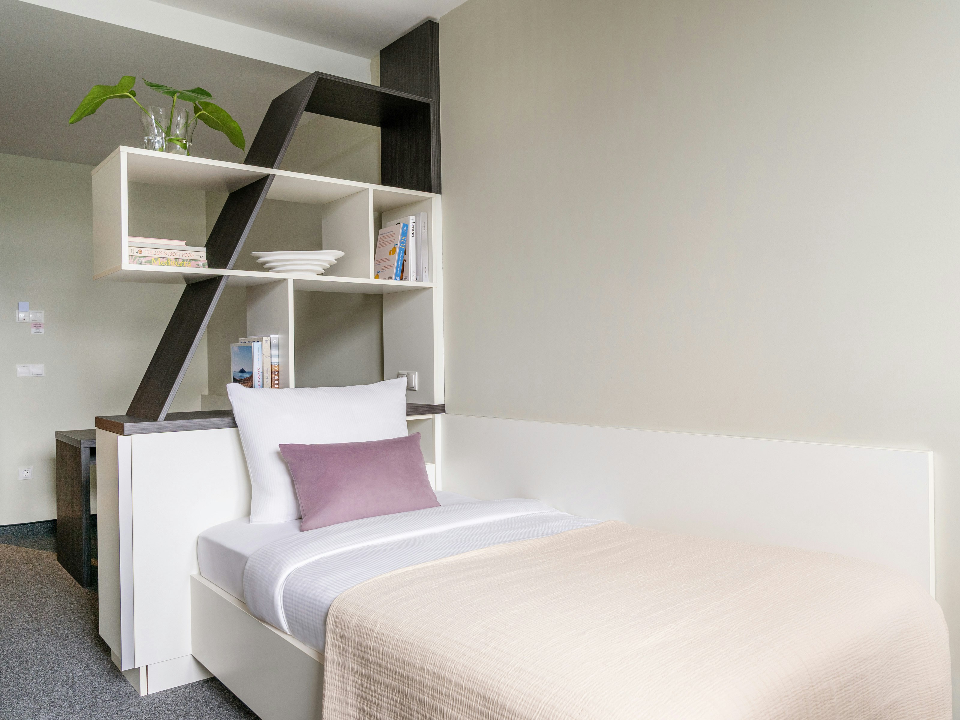 Medium, Studio, Single Bed, Kitchenette