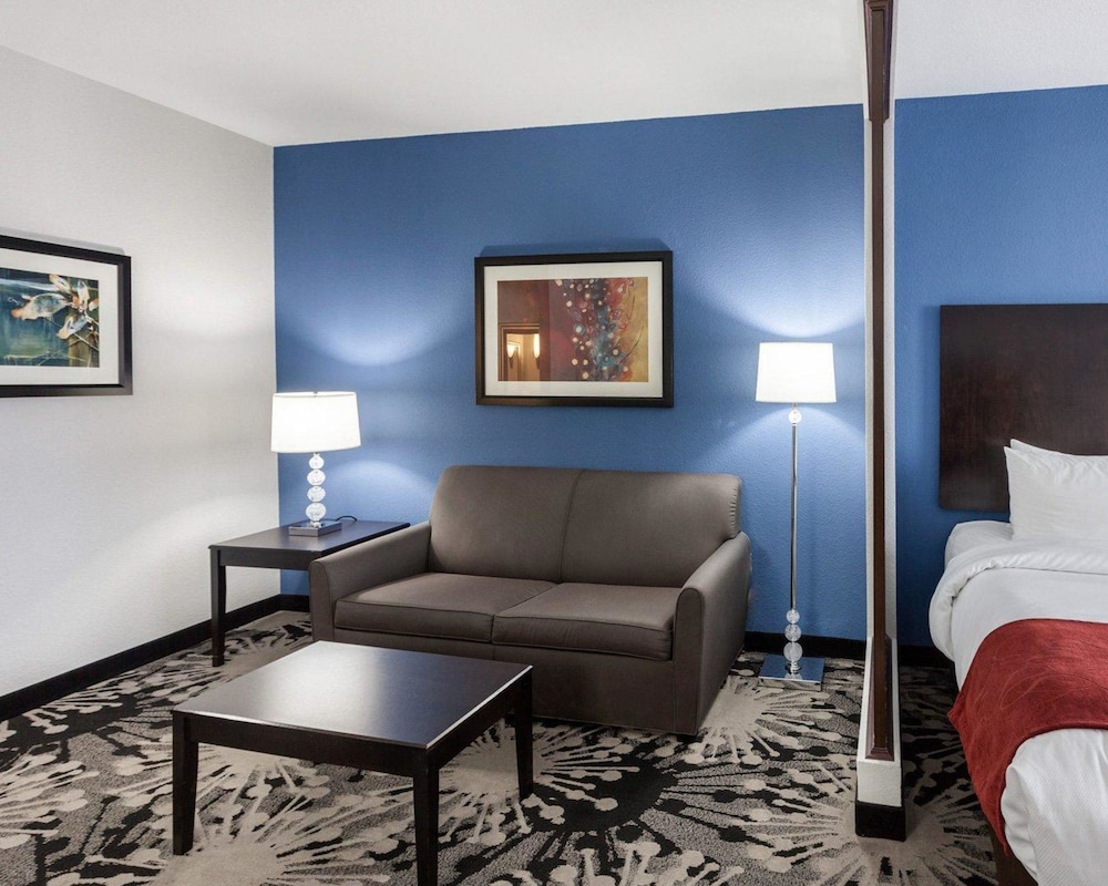Comfort Suites Greenville 21/42