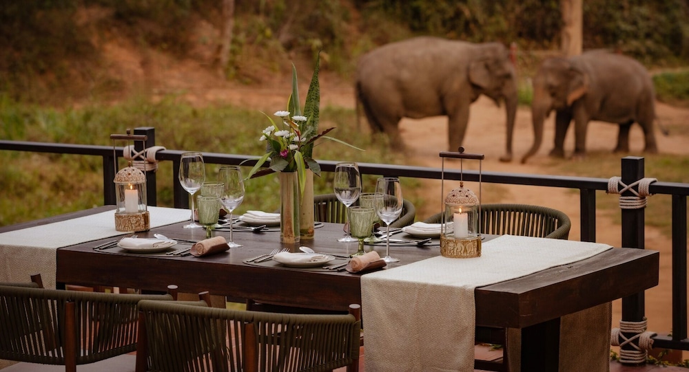 Anantara Golden Triangle Elephant Camp Resort 63/82