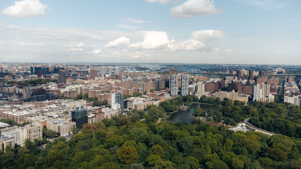 Kama Central Park 15/19