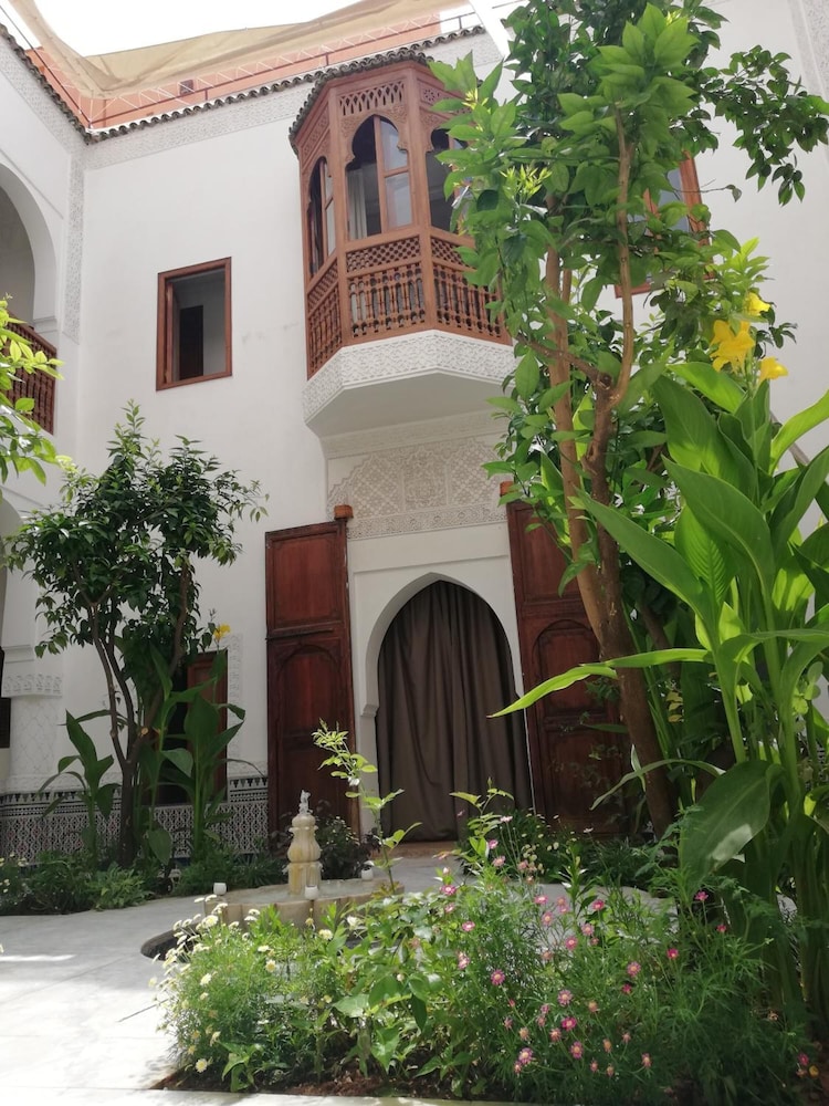 Riad Ben Youssef 3/50