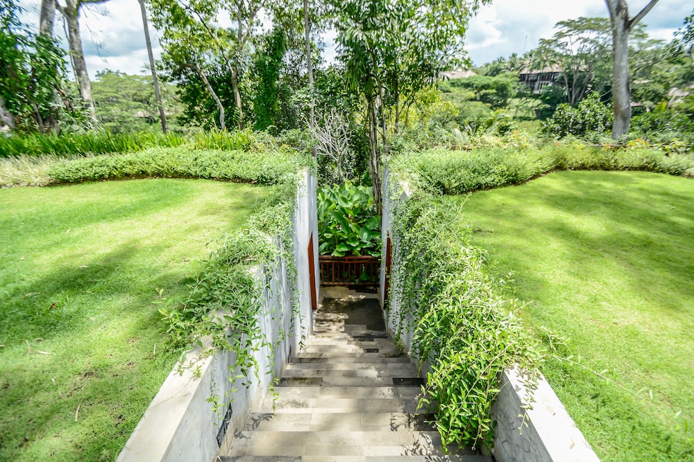 The Pandora Hotel 50/50