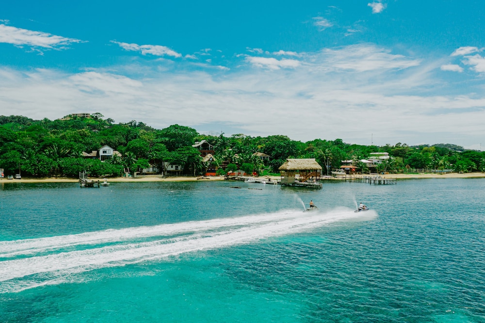 Tranquilseas Eco-Lodge, Diving Center, Restaurant &amp; Bar 47/50