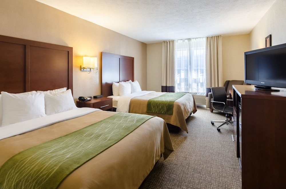 Comfort Inn Wytheville - Fort Chiswell 15/49